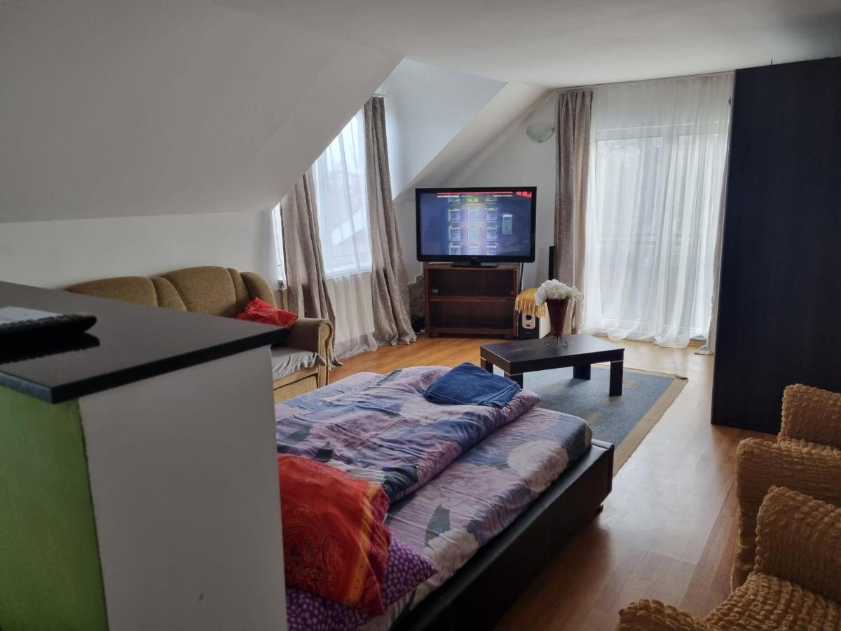 Penthouse Apartament 2 Floors, 2 Bedroom , 2 Bath, 120 Sqm , Inside Yard Parking Cluj-Napoca Exteriör bild