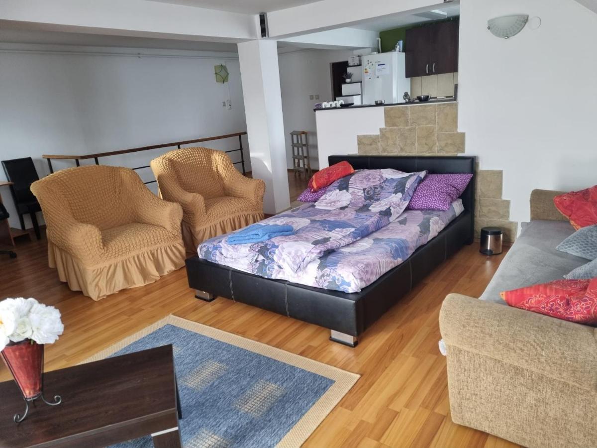 Penthouse Apartament 2 Floors, 2 Bedroom , 2 Bath, 120 Sqm , Inside Yard Parking Cluj-Napoca Exteriör bild