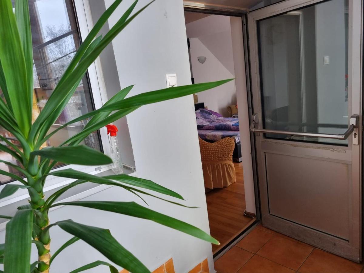 Penthouse Apartament 2 Floors, 2 Bedroom , 2 Bath, 120 Sqm , Inside Yard Parking Cluj-Napoca Exteriör bild