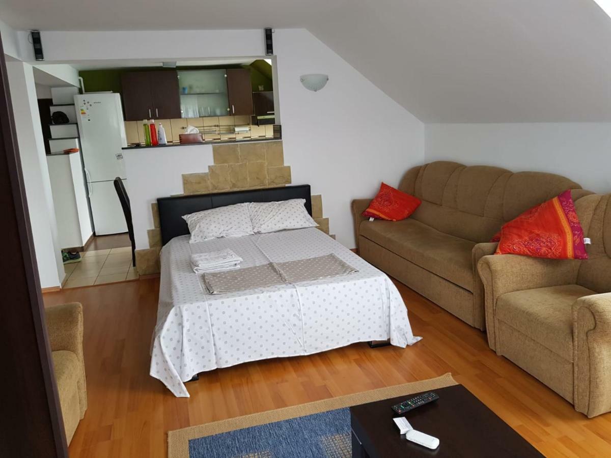 Penthouse Apartament 2 Floors, 2 Bedroom , 2 Bath, 120 Sqm , Inside Yard Parking Cluj-Napoca Exteriör bild